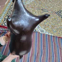 هیزه قیمت توافقی|ظروف نگهدارنده، پلاستیکی، یک‌بارمصرف|سرپل ذهاب, |دیوار