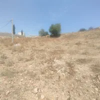 فروشی فوری