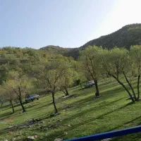 بلیط (موتور اویکو۳۳۰)