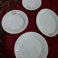 سرویس چینی رستوران برای ۴۰۰ نفر
