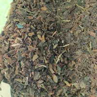 کشمش افتابی درگز ۱۹۰حراج|خوردنی و آشامیدنی|مشهد, عامل|دیوار