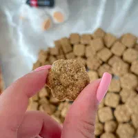 انواع قند ونبات فانتزی و دمنوشی|خوردنی و آشامیدنی|بانه, |دیوار