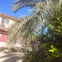 1. خانه ویلایی تجاری مسکونی|فروش خانه و ویلا|نرماشیر, |دیوار