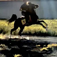 اسب سواریدار عرب مصری