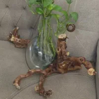 گلدان دکوری|گل و گیاه طبیعی|مشهد, شهرک مطهری|دیوار