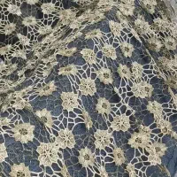 دوعدد پارچه گیپور مجلسی|لباس|پردیس, فاز ۸|دیوار