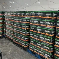 ویزیتور (پخش مواد غذایی)