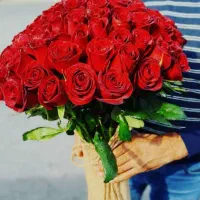 گل رز هلندی  باکس گل  سبد گل دسته گل|گل و گیاه طبیعی|تهران, والفجر (افسریه)|دیوار