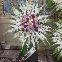 تاج گل|گل و گیاه طبیعی|ابریشم, |دیوار
