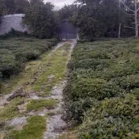 زمین مسکونی ۱۲۵ متر