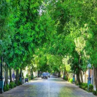 فرصت استثنایی فروش مغازه تجاری جیرفت خیابان یکطرفه