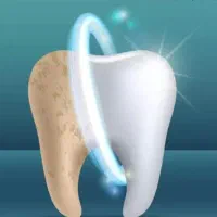 اموزش دندانپزشکی