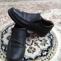 کفش و کتانی راحتی