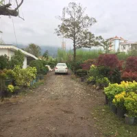 رامسر-2450-زمین-بر-اصلی-جاده-ساحلی