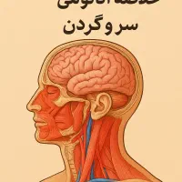 خلاصه آناتومی سر و گردن