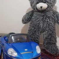 ماشین شارژی