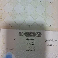 گم شدن شناسنامه