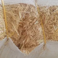 کاه|لوازم جانبی حیوانات|شمیل, |دیوار