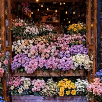 اینه پژو پارس