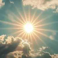 مغازه اوینی
