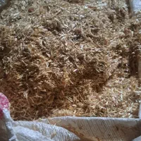 یونجه خشک وکاهش گندم دستگاه