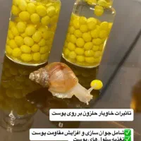 خاویار حلزون|خزنده|مشهد, شهرک امام هادی (شهرک غرب)|دیوار
