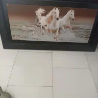 تابلوچوب درحدنو