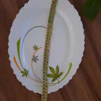 دیس آیروپال و سبزی خورد کن و کتری یونیک،ظرف عینکی|ظروف سرو و پذیرایی|تهران, باغ خزانه|دیوار