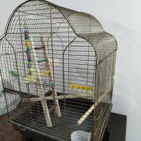 قفس طوطی یا عروس هلندی|لوازم جانبی حیوانات|پردیس, فاز ۱۱|دیوار