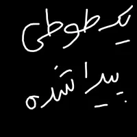 یک طوطی پیدا شده