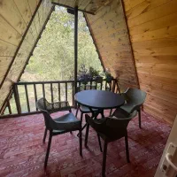 کلبه سوئیسی جنگلی|اجارهٔ کوتاهمدت ویلا و باغ|رشت, پسیخان|دیوار