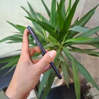 موتورولا Moto G73 رم ۸ حافظه ۲۵۶|موبایل|مشهد, بهشت|دیوار