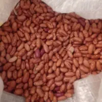 حبوبات درجه یک|خوردنی و آشامیدنی|شیراز, عادل آباد|دیوار