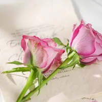 کیف مدارک بنام امین رئیسی گم شده