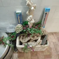 وسایل آکواریوم همه سالم چکار نکرده و تمیز