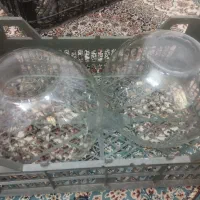 تنگ ماهی|ماهی|شیراز, شهرک قمشه|دیوار