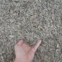 نیروی کار برای ویزیتور