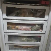 یخچال|یخچال و فریزر|گرگان, |دیوار