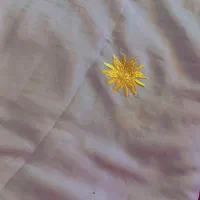 چادرجدیدرسید|لباس|کرمان, |دیوار