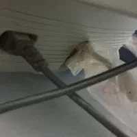 کامپیوتر،کیس،صفحه کلید و موس،رایانه|رایانه رومیزی|اصفهان, بهاران|دیوار