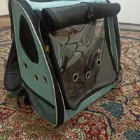 کیف و کوله حمل سگ و گربه عروس هلندی|کیف، کفش، کمربند|بندرعباس, |دیوار