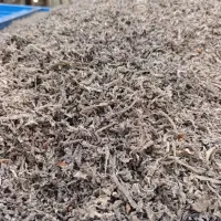 تفاله تر چغندر