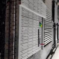 تیر باغی|خدمات باغبانی و درختکاری|مهاباد (آذربایجان غربی), |دیوار