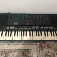 کیبورد|پیانو، کیبورد، آکاردئون|سنندج, |دیوار