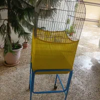 قفس بزرگ با پایه