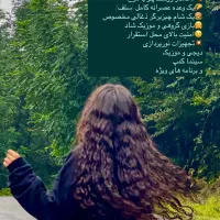 کمپ جنگل هیرکانی