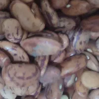 برنج عنبربو نیم دانه وحبوبات|خوردنی و آشامیدنی|اهواز, فاز ۱ پادادشهر|دیوار