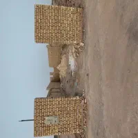 زمین-ناجی-اباد