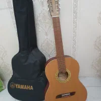 گیتار نو همراه با کیف