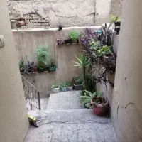 زیر همکف